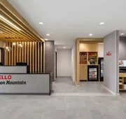 Towneplace Suites by Marriott Iron Mountain hotel detail image 3