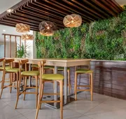 Condado Palm Inn San Juan, Tapestry Collection by Hilton hotel detail image 4