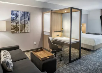 Springhill Suites BY Marriott Canfield hotel thumbnail 7
