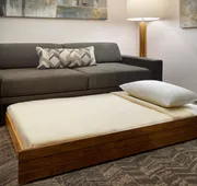 SpringHill Suites by Marriott Arlington TN hotel detail image 4