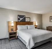 Staybridge Suites Dallas Market Ctr Love Field by IHG hotel detail image 7