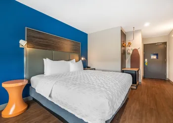 Tru By Hilton Lexington Hamburg hotel thumbnail 6