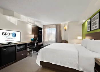 SPOT X Hotel Tampa - Wesley Chapel by The Red Collection hotel thumbnail 7