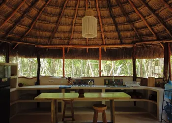 Room-unique Jungle Dome 2 Queen Beds hotel thumbnail 6