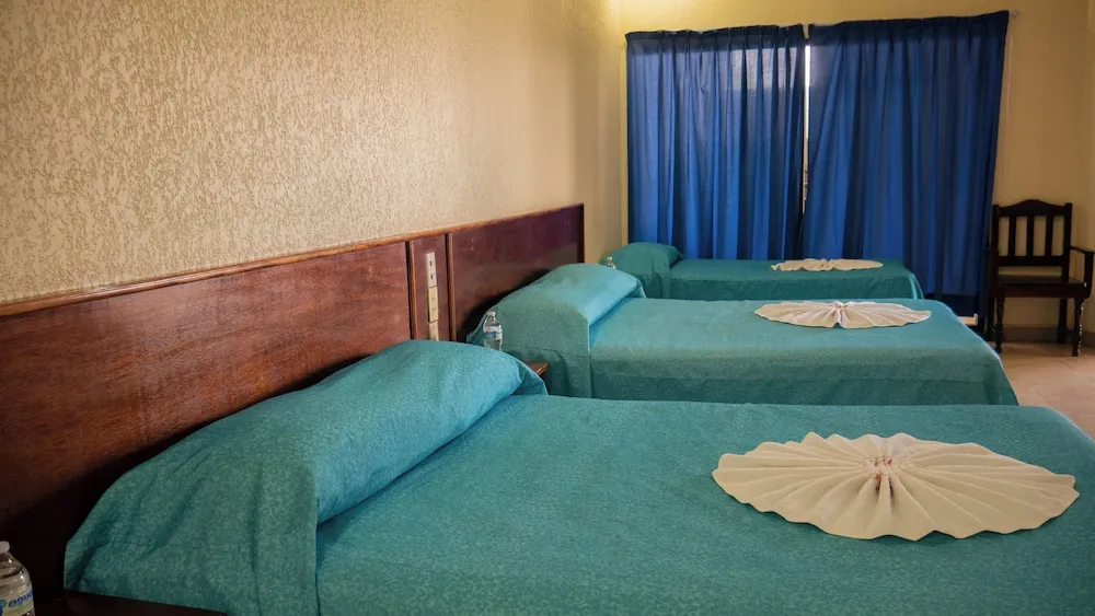 Hotel Plaza Mazari hotel detail image 6