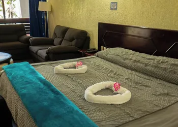 Hotel Plaza Mazari hotel thumbnail 8