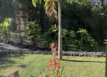 Mango Sunset Bed and Breakfast hotel thumbnail 8