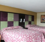 Executive Inn & Suites hotel detail image 7