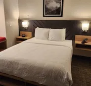 Best Western Buffalo Inn & Suites hotel detail image 7