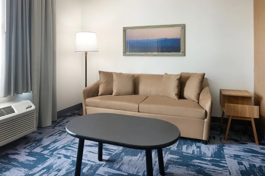 Fairfield Inn & Suites by Marriott Montrose hotel detail image 6
