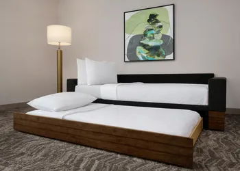 SpringHill Suites by Marriott Chula Vista Eastlake hotel thumbnail 3