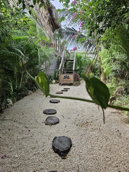 Jungla Bacalar hotel detail image 2