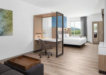 Springhill Suites By Marriott Roanoke North hotel thumbnail 7