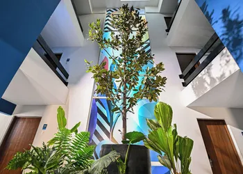 Vista Express Guadalajara Expo SureStay Collection by BW hotel thumbnail 2