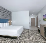 Hampton Inn & Suites Shenandoah The Woodlands, Tx hotel detail image 4