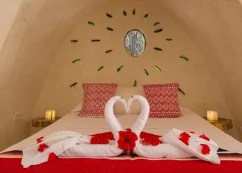 Room-unique Jungle Dome Ik hotel thumbnail 4
