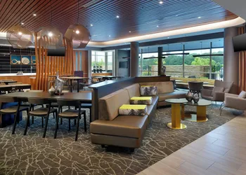 Springhill Suites By Marriott Ellijay hotel thumbnail 3