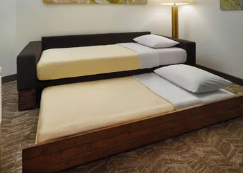 Springhill Suites By Marriott Ellijay hotel thumbnail 5