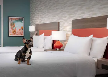 Home2 Suites By Hilton Georgetown Austin North hotel thumbnail 7