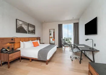 Galeria Plaza Leon hotel thumbnail 6
