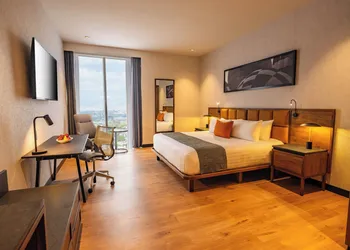Galeria Plaza Leon hotel thumbnail 8