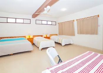 Hotel Casa Rush hotel thumbnail 8