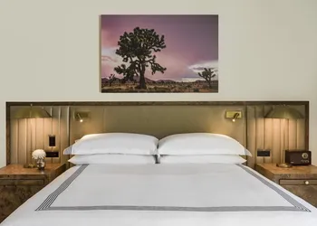 Thompson Palm Springs, by Hyatt hotel thumbnail 7