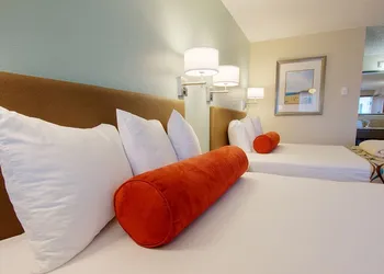Super 8 by Wyndham Florence OR hotel thumbnail 4