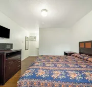 Budget Inn By OYO Palestine Tx Hwy 79 hotel detail image 5