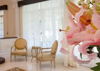 Delfina Boutique Hotel hotel thumbnail 3