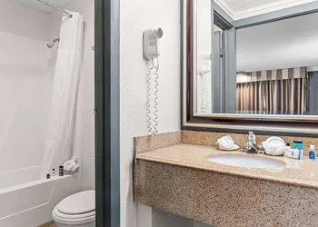 Rodeway Inn & Suites Saginaw I-675 hotel thumbnail 6