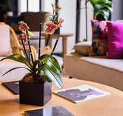 Ola Boutique Hotel hotel detail image 4