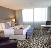 Crowne Plaza Mexico City North-Tlalnepantla by IHG hotel detail image 4