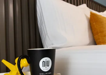 NIU Reforma hotel thumbnail 2