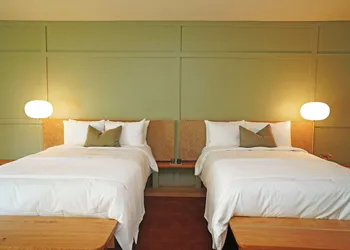 Albert Hotel hotel thumbnail 7