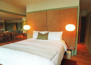 Albert Hotel hotel thumbnail 8