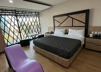 Hotel city lights hotel thumbnail 6