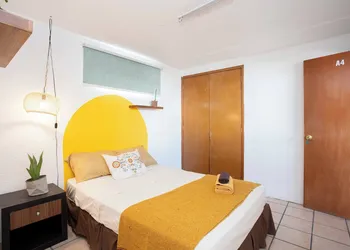 La Paz & Love Hostel hotel thumbnail 4