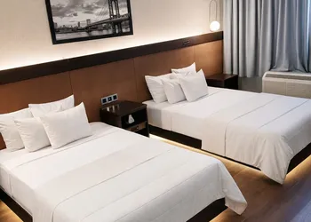 Hotel Mirage Brooklyn hotel thumbnail 8