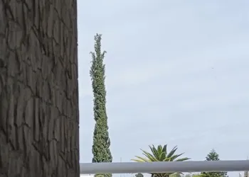 Hotel Casa Blanca Paz en Hogar hotel thumbnail 7