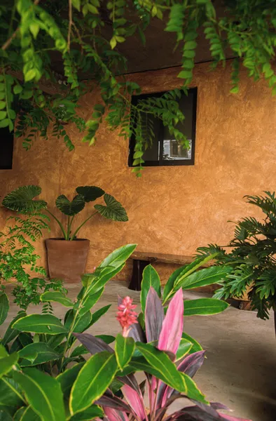 Casa Marisa hotel detail image 2
