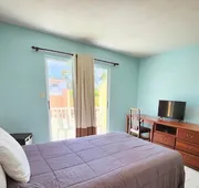 Selva Boutique Hotel - Luquillo Oceanfront Retreat - Adults only hotel detail image 7