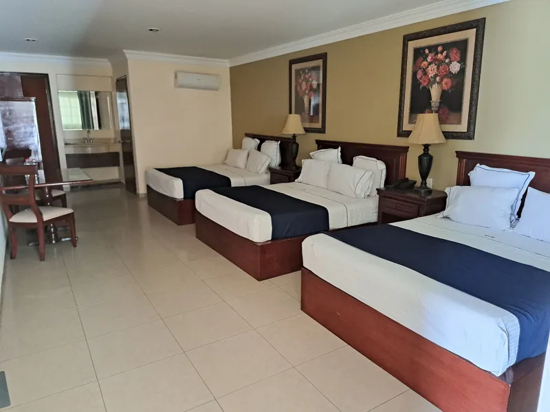 Hotel Confort Plaza hotel detail image 2