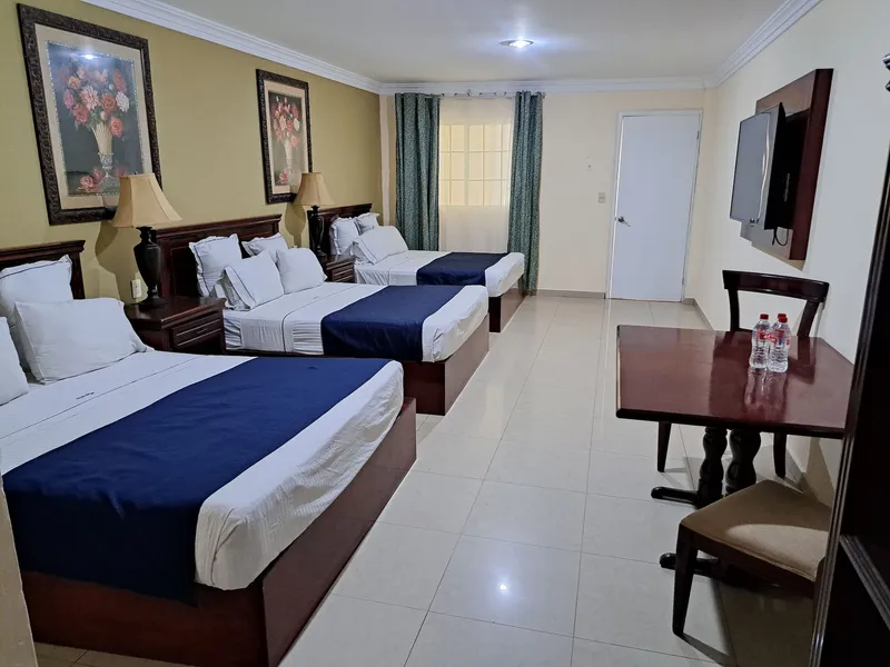 Hotel Confort Plaza hotel detail image 6
