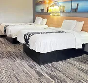 Dreamland Inn and Suites hotel detail image 5