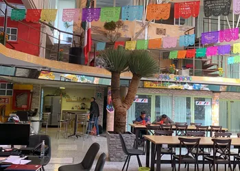 Downtown Treasure Place hotel thumbnail 4