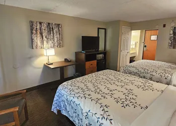 Americinn by Wyndham Birch Run/Frankenmuth hotel thumbnail 7