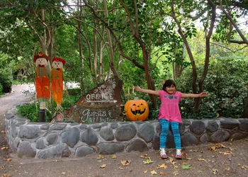 Briar Patch Inn hotel thumbnail 2
