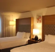 Wyndham Flint MI/Grand Blanc/Bishop Airport/Conference Ct hotel detail image 7