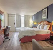 Reidsville Inn & Suites hotel detail image 7